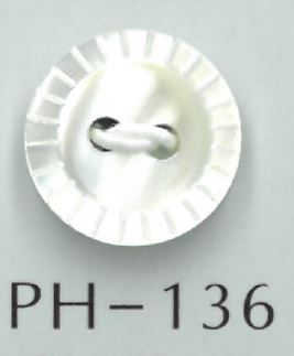 PH136 2-hole Cut Shell Button Sakamoto Saji Shoten