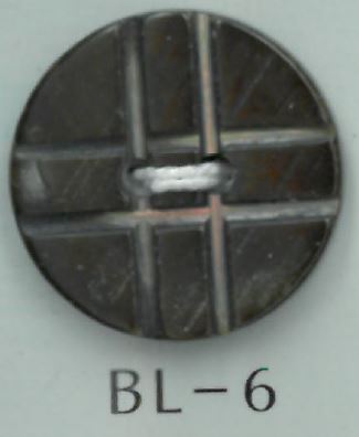 BL-6 2 Hole Shell Button Sakamoto Saji Shoten