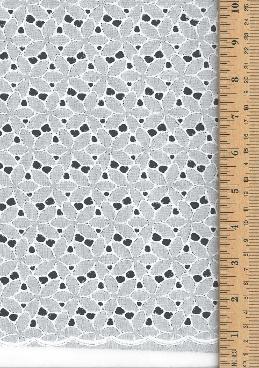 55520 Wide Width Cotton Lace[Textile / Fabric] Floria