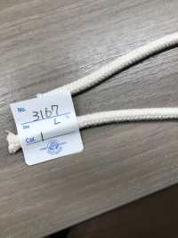 3167 Cotton Soft Cord[Ribbon Tape Cord] ROSE BRAND (Marushin) Sub Photo