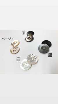 PH137 4-hole Hollow Shell Button Sakamoto Saji Shoten Sub Photo