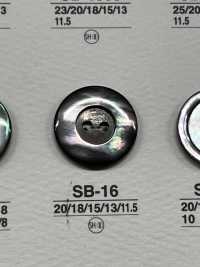 SB16 Shell Button IRIS Sub Photo
