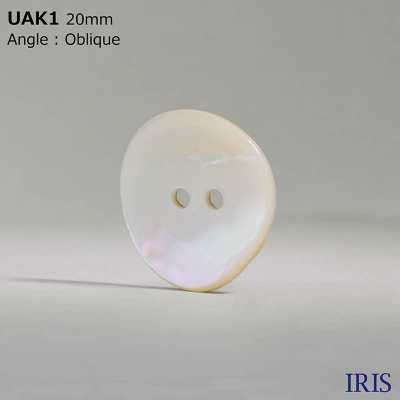 UAK1 Natural Material Shell Dyed Front Hole 2 Holes Glossy Button IRIS Sub Photo