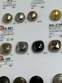 N109 Metal Button IRIS Sub Photo