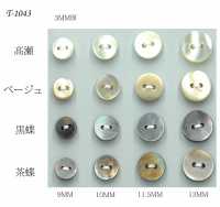 T1043 3mm Thick 2 Hole Flat Shell Button Sakamoto Saji Shoten Sub Photo