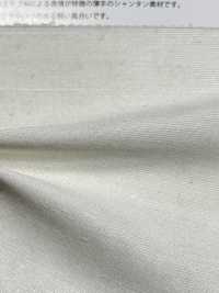 2470A Light Shantung[Textile / Fabric] Suncorona Oda Sub Photo