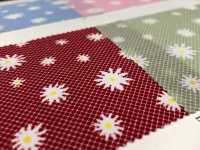 DH10249L Poplin Homey (Margaret)[Textile / Fabric] VANCET Sub Photo