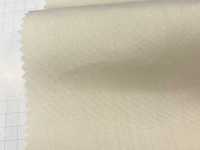 10906 CLEANSE(R) EX TC Broadcloth -Antiviral-[Textile / Fabric] VANCET Sub Photo