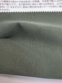 43286 Nylon Taslan Oxford Oni Veggie[Textile / Fabric] SUNWELL Sub Photo