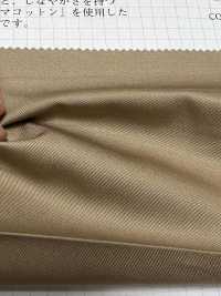2438 Supima 100% 30 High Density Twill[Textile / Fabric] VANCET Sub Photo