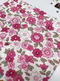 6112 Broadcloth Cutie Pedicel[Textile / Fabric] VANCET Sub Photo