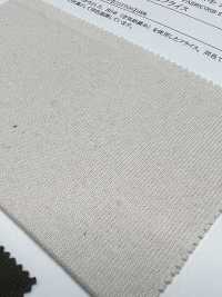 13683 26 / 2BD Degree-packed Circular Rib[Textile / Fabric] SUNWELL Sub Photo