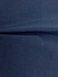 41034 Stunner Tussar[Textile / Fabric] SUNWELL Sub Photo