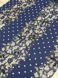 54033-3 Lace Print Dot Pattern Small[Textile / Fabric] SAKURA COMPANY Sub Photo