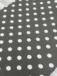 55048-B 60/2 Gas Firing Mercerized Cotton Jersey Dot Pattern Medium[Textile / Fabric] SAKURA COMPANY Sub Photo