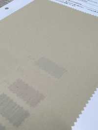 11231 40 Thread Broadcloth(Wide Width)[Textile / Fabric] SUNWELL Sub Photo
