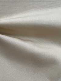 11231 40 Thread Broadcloth(Wide Width)[Textile / Fabric] SUNWELL Sub Photo