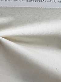11491 Thread (R) 40 Single Yarn Broadcloth[Textile / Fabric] SUNWELL Sub Photo