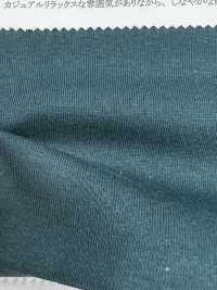 11673 26/-BD TOP Cotton Tianzhu Cotton[Textile / Fabric] SUNWELL Sub Photo