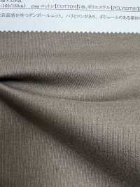 11691 Compact Double Knit[Textile / Fabric] SUNWELL Sub Photo