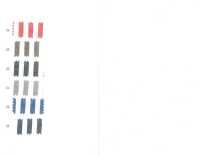 1120 40 Single Thread Combed Yarn-dyed Broadcloth Check & Stripe[Textile / Fabric] SUNWELL Sub Photo