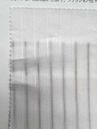 35468 Cotton/Bemberg(R) Soft Dobby Stripe[Textile / Fabric] SUNWELL Sub Photo
