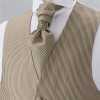 YT-3004 Made In Japan Jacquard Ascot Tie(Eurotie) Striped Gold