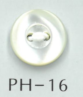 PH16 2-hole Bordered Shell Button Sakamoto Saji Shoten
