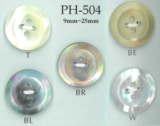 PH504 4-hole Wide Shell Button Sakamoto Saji Shoten