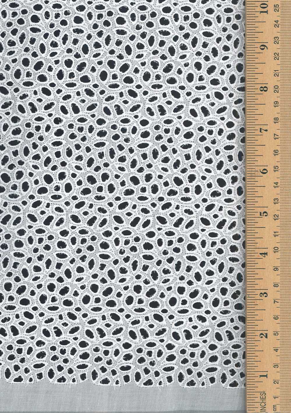 55517 Wide Width Cotton Lace[Textile / Fabric] Floria