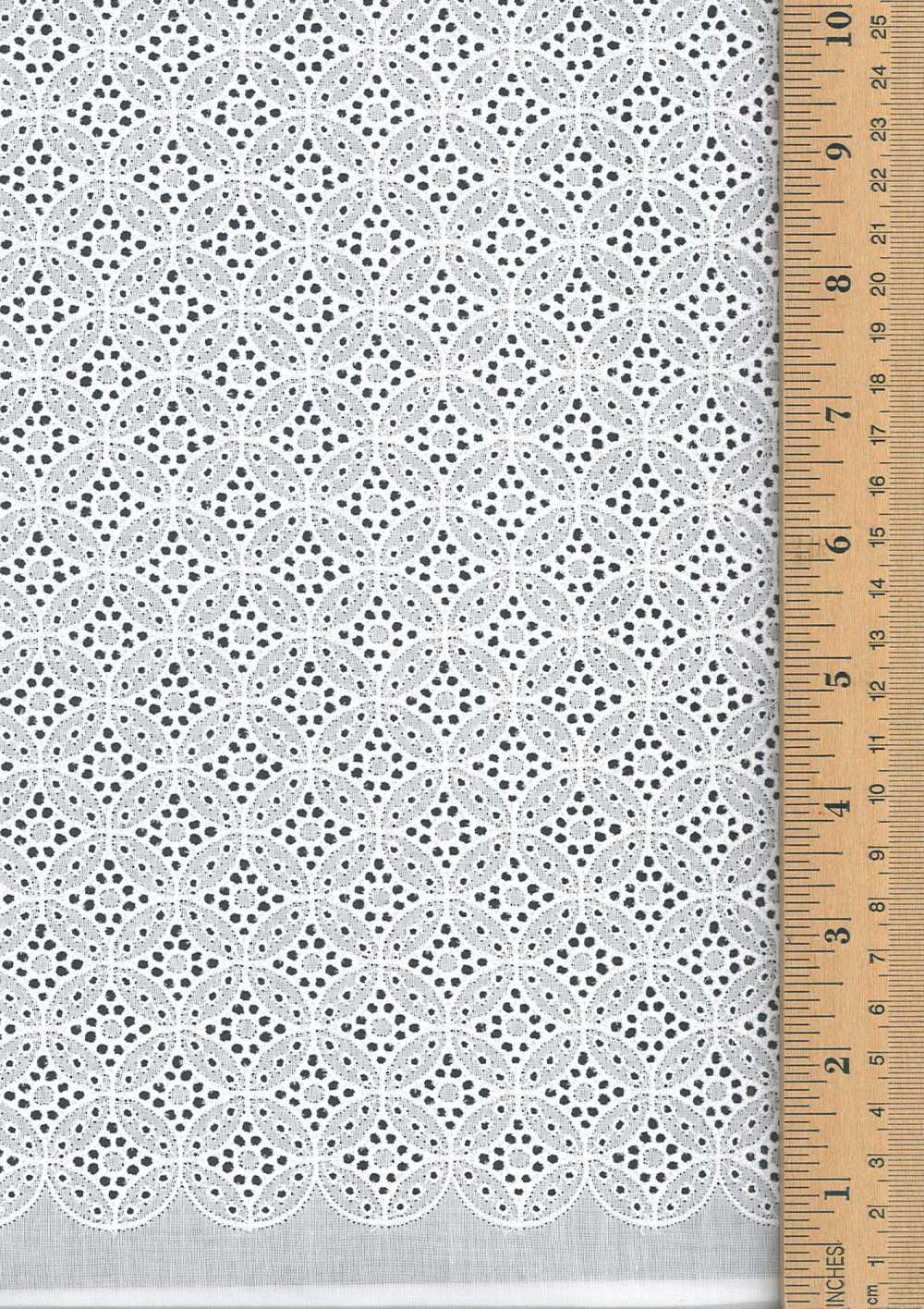 55537 Wide Width Cotton Lace[Textile / Fabric] Floria