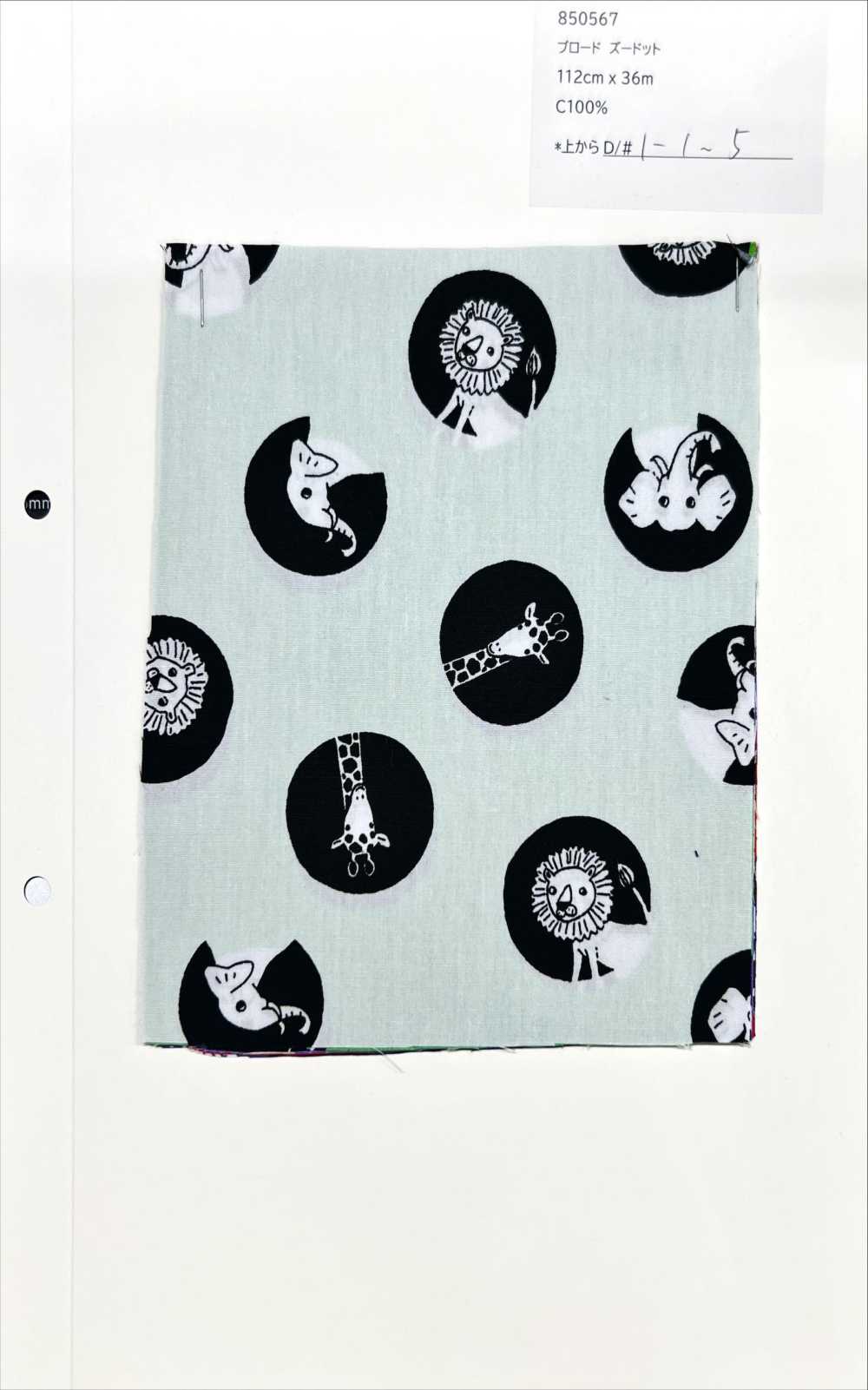 850567 Broadcloth Dot[Textile / Fabric] VANCET
