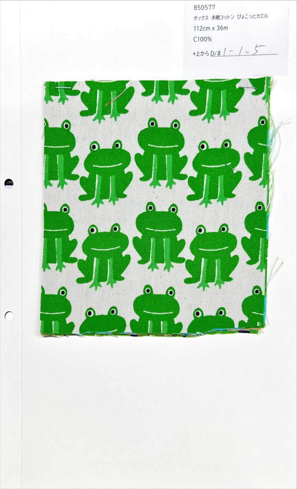 850577 Unbleached Oxford Cotton Frog[Textile / Fabric] VANCET