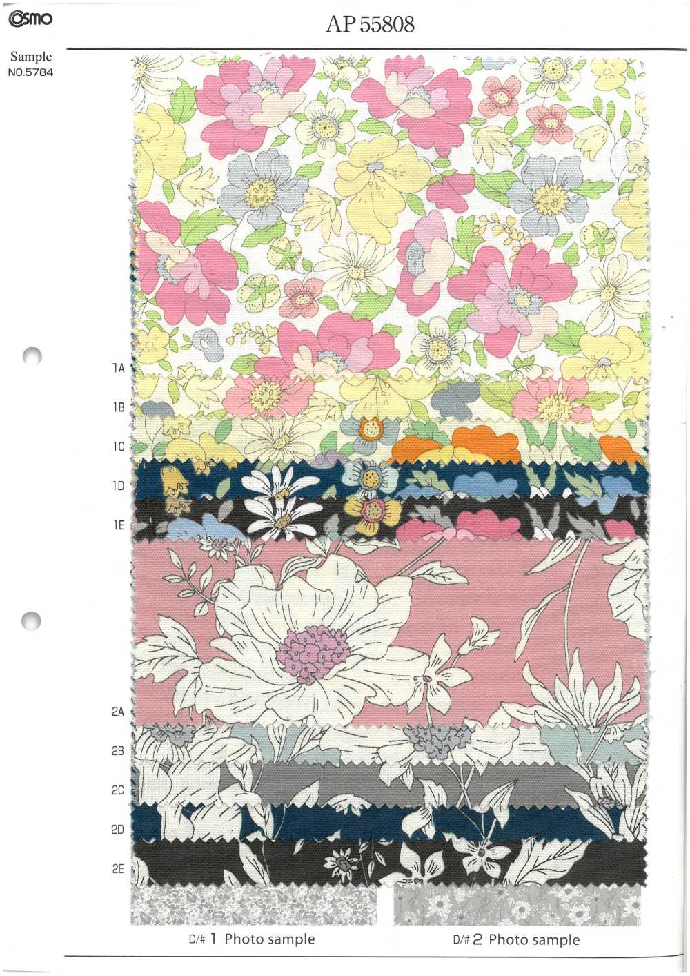 AP55808 Essential Grace 2 Oxford(Round)[Textile / Fabric] COSMO TEXTILE