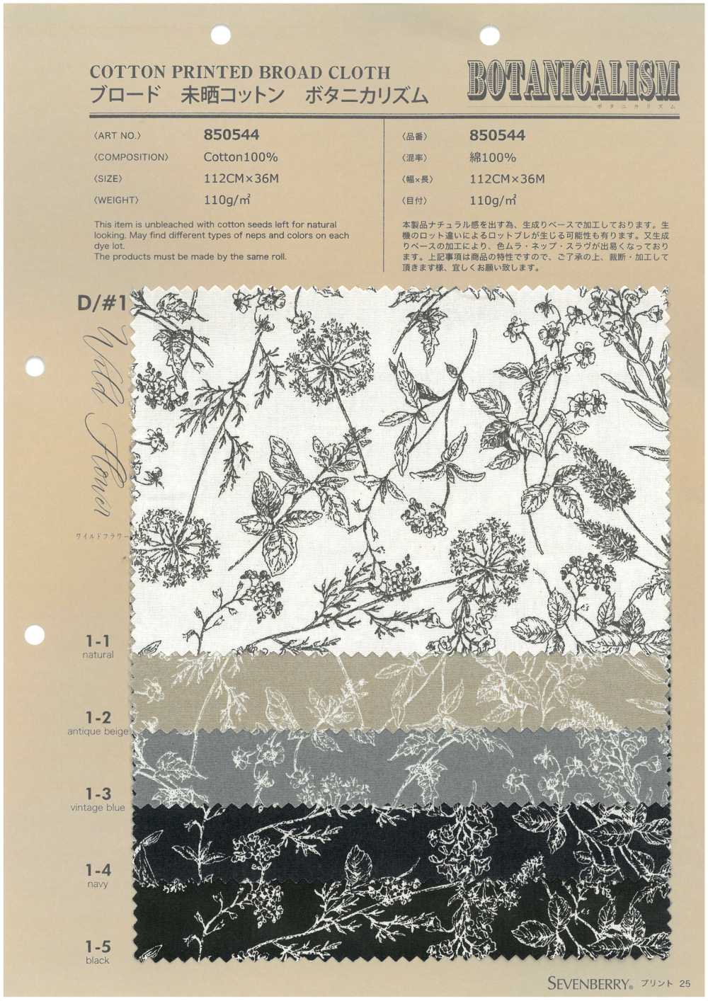 850544 Broadcloth Unbleached Cotton Botanical Rhythm Wildflower[Textile / Fabric] VANCET