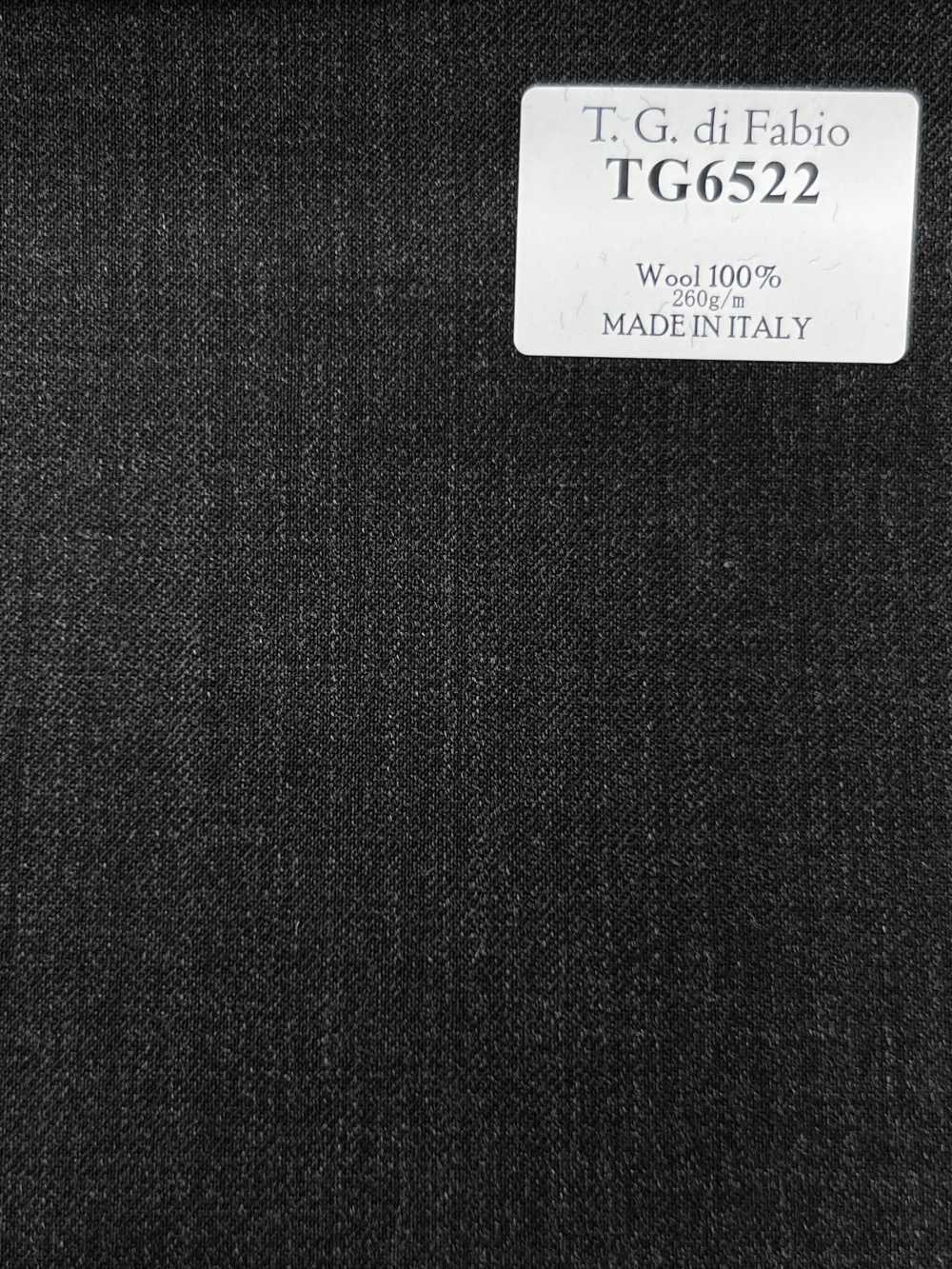 TG6522 T.G Di FABIO Gray Solid[Textile] HOSOI SYOJI