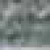 Gray Gray