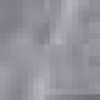 Gray Gray