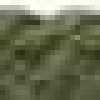 Olive Green Olive Green