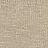 Ash Beige Ash Beige