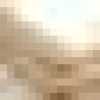 Beige Beige