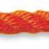 Carrot Orange Carrot Orange