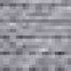 Gray Gray