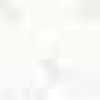 White White