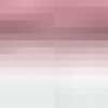 Rose Pink Rose Pink