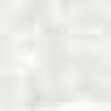 White White