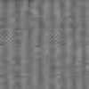 Gray Gray