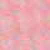 Flamingo Pink Flamingo Pink