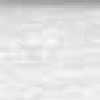 Ice Gray
