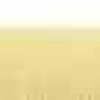 Cream Yellow Cream Yellow